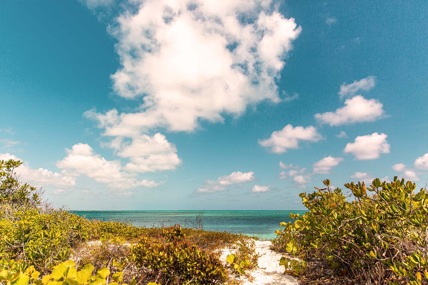 Sandy path to the ocean,Scenic view of sea against sky,Providenciales, Turks and Caicos Islands